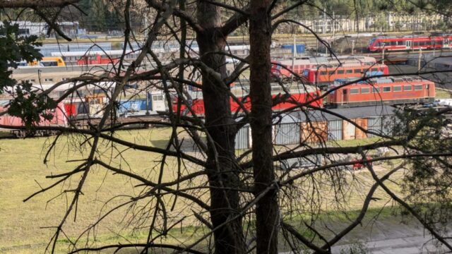 PXL_20251003_140316240