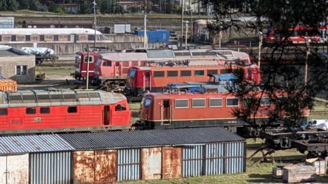 PXL_20251003_140414181.PORTRAIT.ORIGINAL