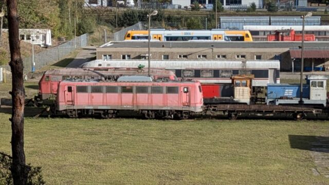 PXL_20251003_140425009.PORTRAIT.ORIGINAL