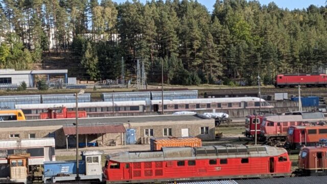 PXL_20251003_140431710.PORTRAIT.ORIGINAL