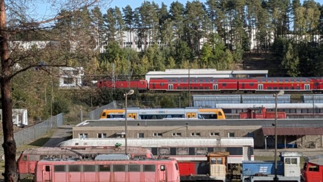 PXL_20251003_140436813.PORTRAIT.ORIGINAL