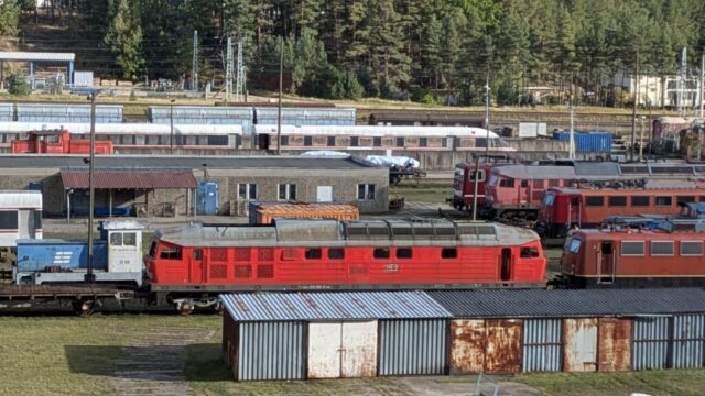 PXL_20251003_140447481.PORTRAIT.ORIGINAL