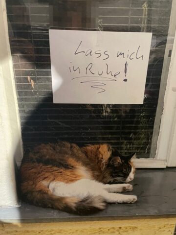 WhatsApp Image 2026-01-03 at 17.52.37 (2)